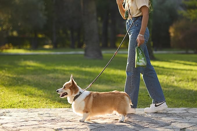 Compostable Dog Poop Bags 120 Count with Dispenser – Extra Thick Lavender Scented Pet Waste Bags, Leak Proof, Eco Friendly, Plastic Free Core, Biodegradable Dog Poop Bag Refills by Balomi Paws