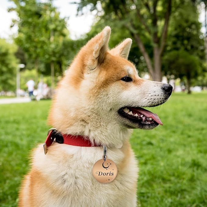 S Champagne Gold Stainless Steel Personalized Dog & Cat Tags - Engraved on Both Sides, Small & Large Sizes, Custom Text