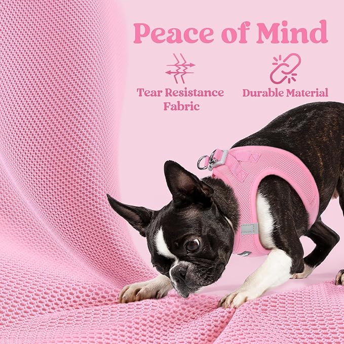 rabbitgoo Small Dog Harness, Step-in Soft Mesh Puppy Vest with Safety Buckle, Breathable Reflective Pet Harness for Large Dogs, Light Pink XXL