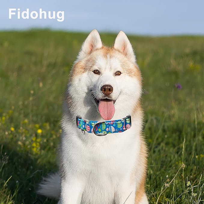 Easter Reflective Martingale Collar for Dogs with Quick Release Buckle Spring Holiday Dog Collars (Colorful Egg, Large)