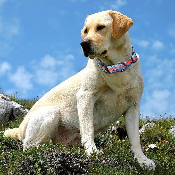 HEELE Dog Collar, Adjustable Soft Dog Collar for Small Medium Large Dogs,Floral Patterned Puppy Collars with Quick Release Buckle M Length 13.39''-20.87''