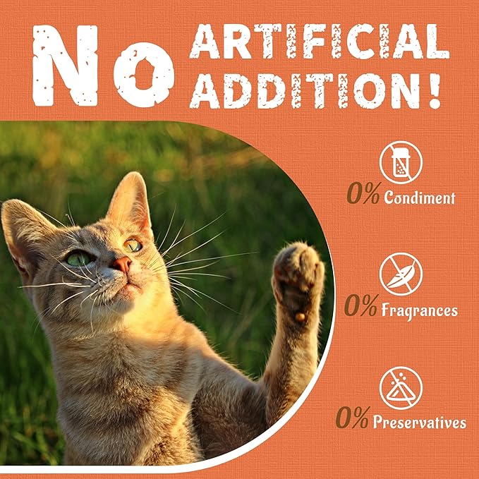 Just Try 16 OZ Dental Health Treats for Cats - Advanced Kelp Clean Teeth & Fresh Breath - Reduce Plaque & Tartar - Chicken Flavored Chews