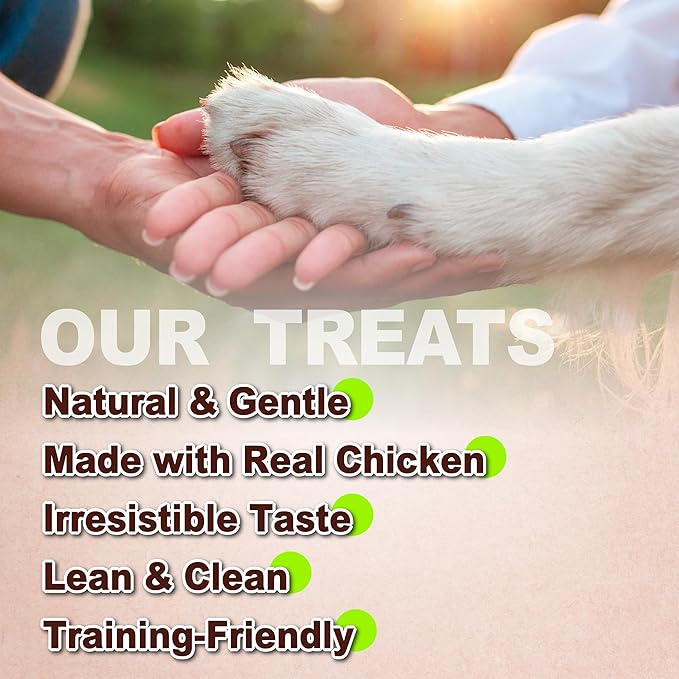 A Freschi srl Chicken Dog Treats, All Natural, Healthy & Easily Digestible, Grain-Free Puppy Chews, Low-Fat, Human Grade Training & Rewards Dog Snacks, Dipped Sticks, 24 oz Pack