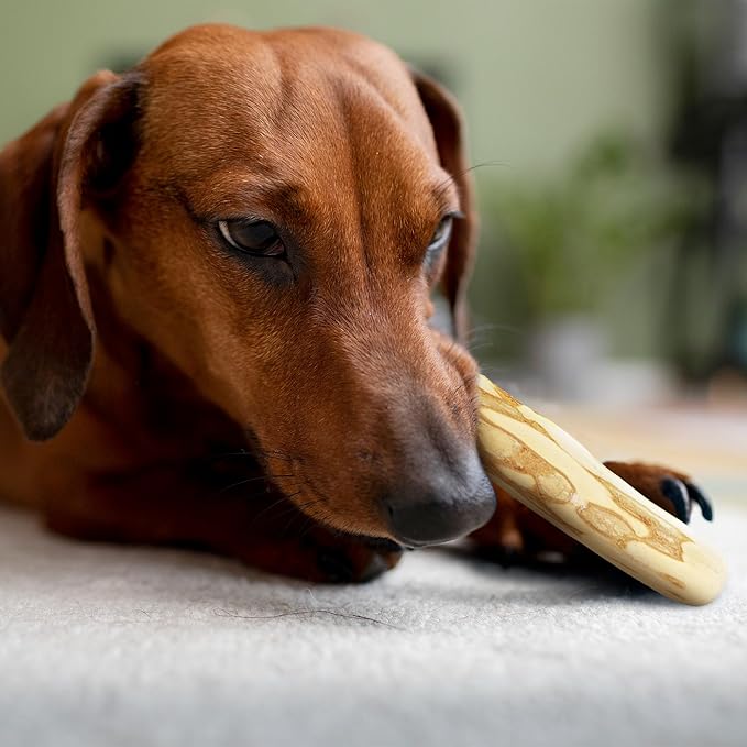 Wildfang® Coffee Wood Dog Chew, Medium – Tough Chew Toys for Aggressive Chewers, Dog Teething Toys for Puppies, Training for Chewing Muscles, Coffee Tree Sticks for Medium Dogs (33–55 lbs), Pack of 3