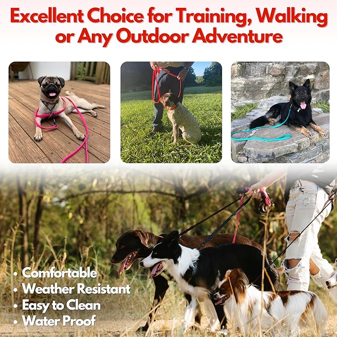Gummy K9 Biothane Dog Leash, Professional Training Lead, Stainless Steel, New Advanced Safety Clasp, Weatherproof, Waterproof, Long Lasting, 6 Ft (3/4 Purple), Small, Medium, Large Dogs, Made in USA