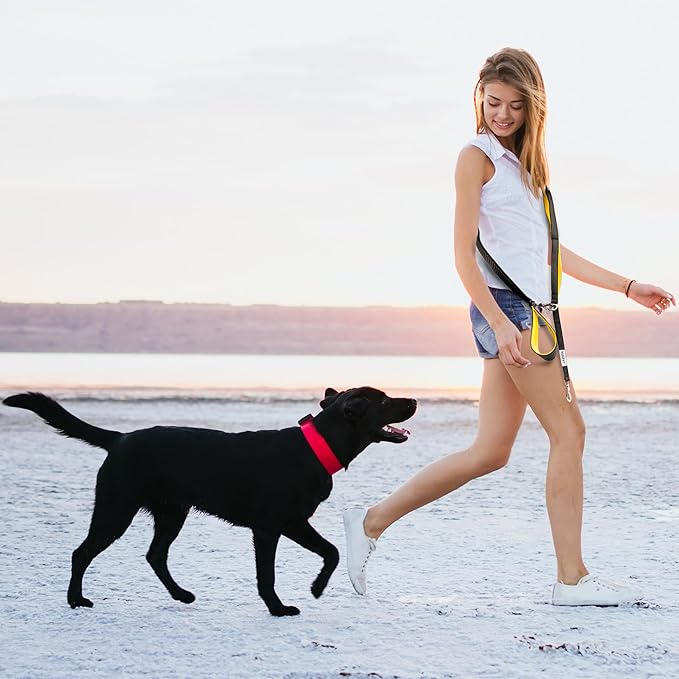 No Pull Dog Leash for Large Dogs – 6ft Highly Reflective Bungee, Heavy Duty Leash for Large Dogs, 4 Padded Handles, Strong Carabiner Clip & Rings, Includes Poop Bag Holder & Treat Pouch (Teal)
