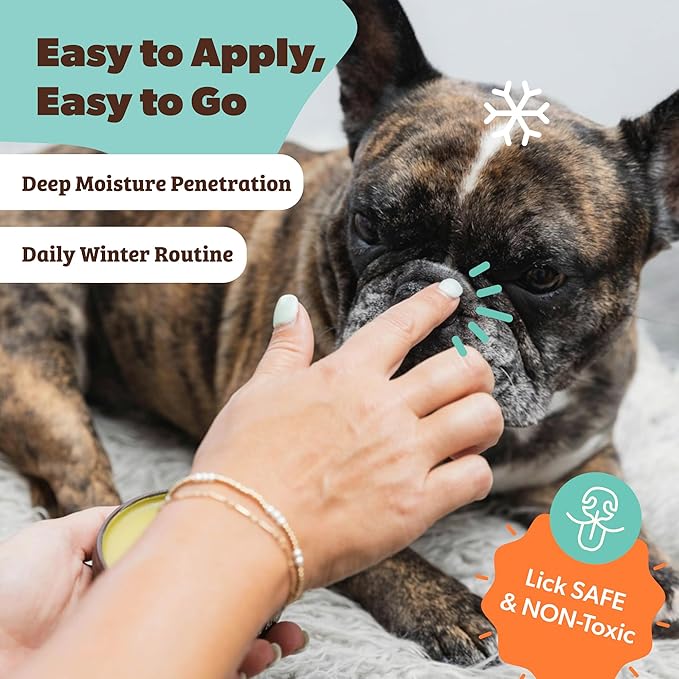 Natural Dog Company Snout Soother Balm Tin 4 oz – All Natural Dog Nose Balm for Dry, Cracked Snouts – Organic Moisturizing & Soothing Balm – Lick-Safe Protective Snout Care, Made in USA