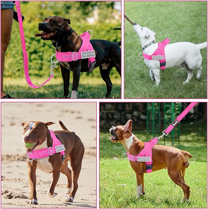 SlowTon No Pull Dog Harness - Heavy Duty Dog Harness and Leash Set for Medium Large Dogs, Reflective Tactical Harness with Soft Padded and Front Clip for Easy Walk and Training (Fuchsia M)