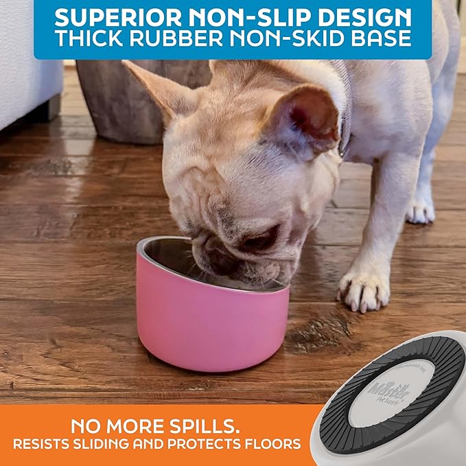 Master Pet Supply Stainless Steel Slanted Dog Cat Food Bowl - 8 oz Heavy Duty - Bone White, Double Wall Insulated, Non-Slip Elevated Bowl for French Bulldogs Pugs Cats, Anti Rust Dishwasher Safe