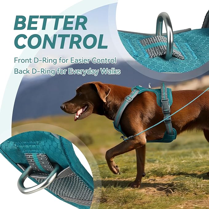 VIVAGLORY Dog Harness Easewalk No Pull Dog Harness with Handle & Front Back Clip for Training Lifting, Easy On Adjustable Padded No Pull for Pet & Puppy, XS, Hunter Teal