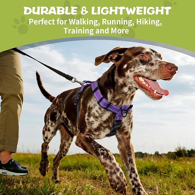 Dog Harness,Adjustable No Pull Dog Harness,Y-Shaped Design,Buckle-Neck Balance Harness with Reflective, Ideal for Dog Training Hiking, Easy Walk Harness,Durable High-Tensile Nylon Purple-L