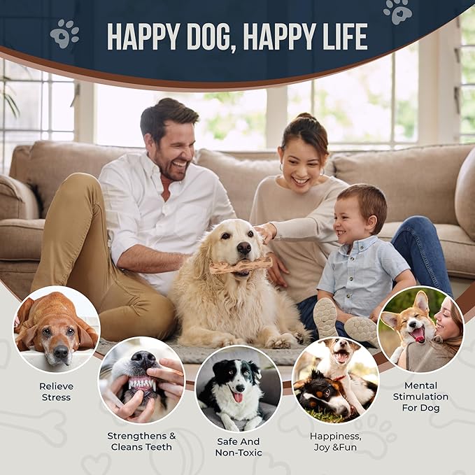 GOWGOW Coffee Wood Chew and Cotton Rope Toy for Dogs - 100% Natural, Organic Wood Stick for Chewers Teeth Cleaning, Training - Size M