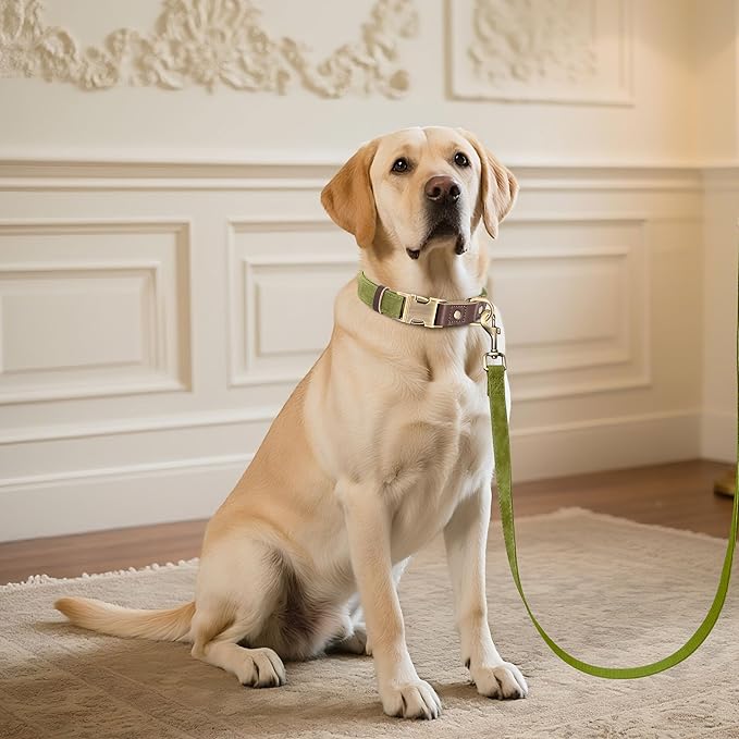 Didog Soft PU Leather Dog Collar for Large Dogs,Classic Adjustable Wide Dog Collars with Quick Release Metal Buckle,Easy Clean and Comfortable with Nylon Lining,Olive Green,XL Neck 17-26", Width 1¼''