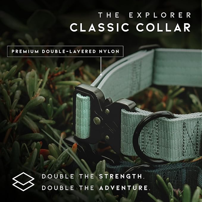 Made to ROAM Premium Dog Collar - Adjustable Heavy Duty Nylon Collar with Quick-Release Metal Buckle (New York Afterlight, Classic Size 1)