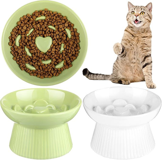 Tioncy 2 Pcs Raised Cat Slow Feeder Bowl Ceramic Elevated Cat Dog Food Bowl No Spill High Edge for Dry Wet Food and Water Easy to Clean, Dishwasher Safe (White,Green)