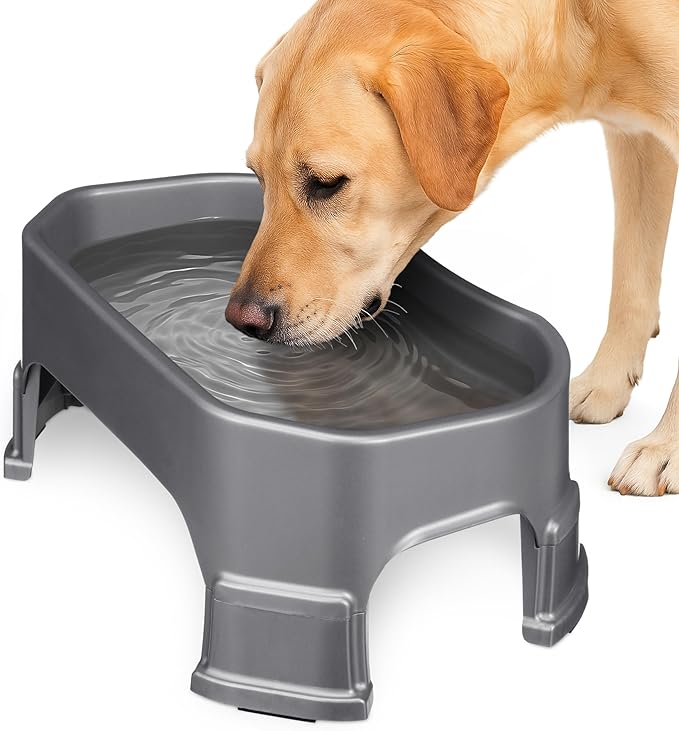 Neater Pet Brands Large Water Bowl for Dogs, Raised Outdoor Dog Water Bowl (1.25 Gallon XL Capacity), Big Trough Style Food Dish for Indoors or Outside, No Spill Large Dog Bowls, Gunmetal Grey