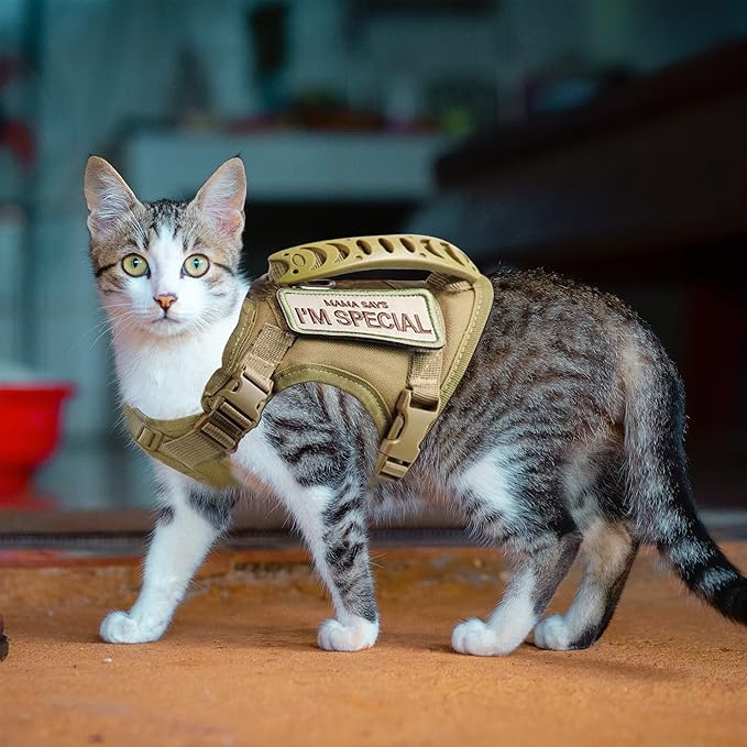 AIWAI Tactical Cat Harness for Walking Escape Proof, Adjustable Pet Vest Harness, Soft Mesh with Control Handle for Large Cat Small Dog, Gift with Patch