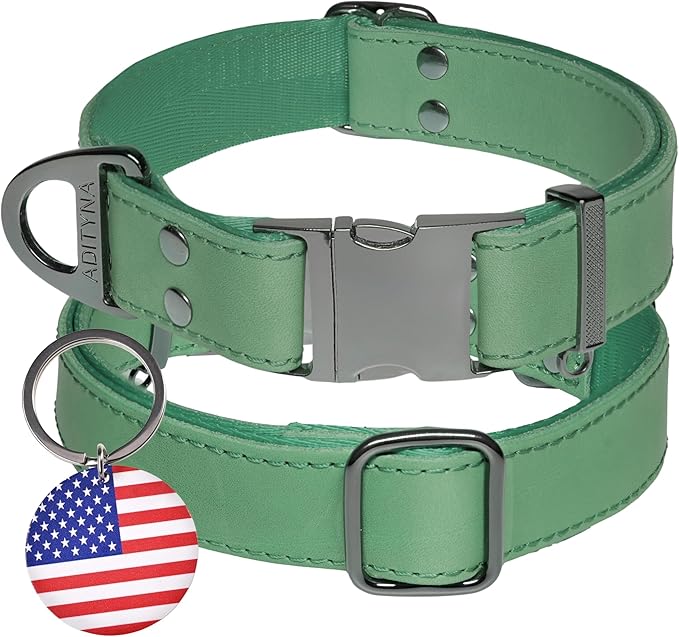 ADITYNA Leather Dog Collar with Metal Buckle - Heavy-Duty, Adjustable for Large & Extra Large Dogs - Walking & Training (Green, Fits 19-30" Necks)
