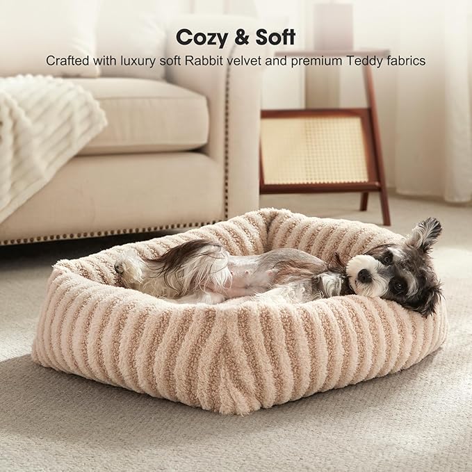 MIXJOY Dog Beds for Small Dogs Cats, Washable Dog Bed with Removable Cover, Soft Calming Cat Bed for Indoor Cats, Rectangle Pet Sofa Bed for Puppy Kitty, Anti-Slip Bottom,20"x19"x6", Beige