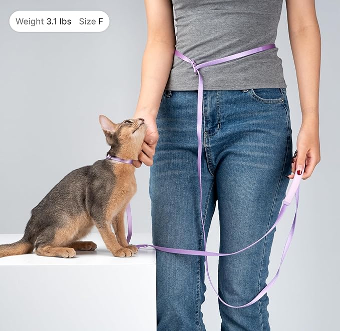 Cat Harness and Leash Set, Lightweight Escape Proof Cat Harness Leash with Padded Handle, Adjustable Cat Leash and Harness for Kitten Small Large Cats Walking Training (Space Gray, M)