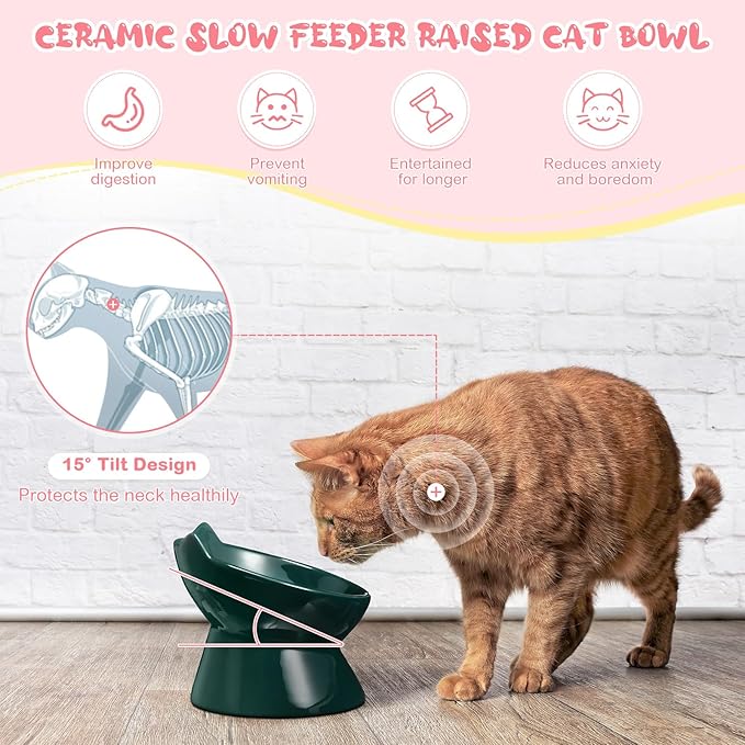 2 Pcs Ceramic Elevated Slow Feeder Cat Bowl Cute Tilted Anti Vomiting Raised Cat Bowl for Dry Wet Food and Water Easy to Clean High Edge Pet for Small Dogs(Dark Green, Pink)
