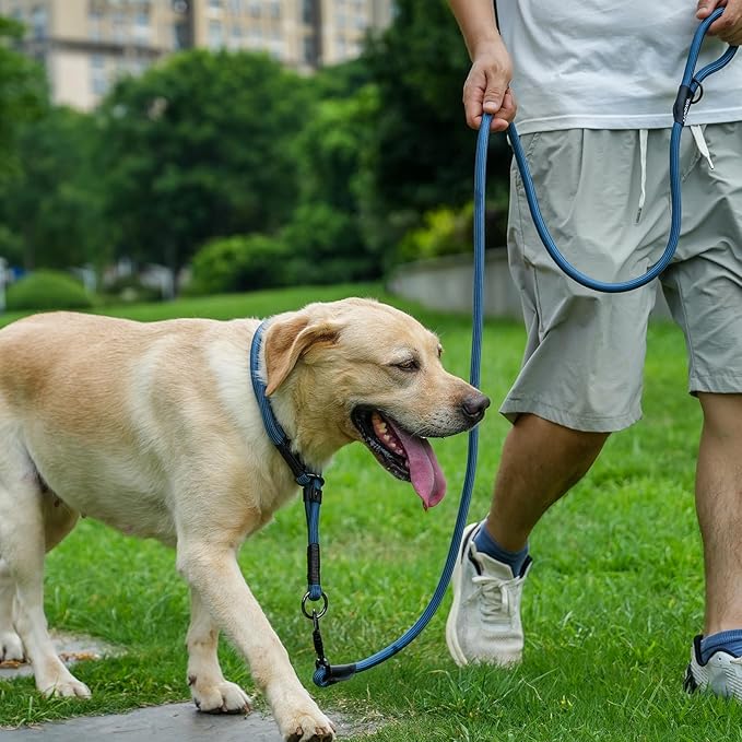 Rope Dog Leash, 4 ft Heavy Duty Dog Leash with Aviation Aluminum Auto Locking Carabiner, Strong Nylon Pet Lead for Small, Medium, Large Dogs (Yellow, 4FT)