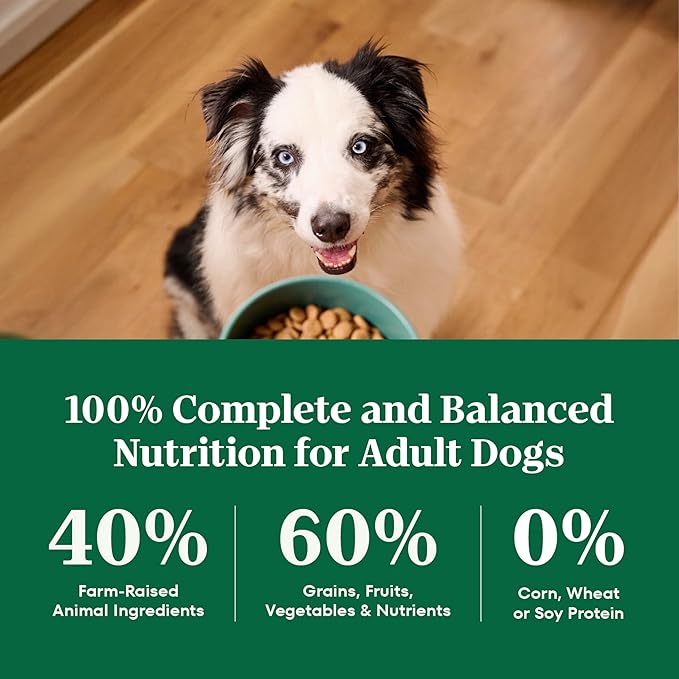Nutro Natural Choice Senior Dog Food, Lamb & Brown Rice Recipe, 36 lb. Bag