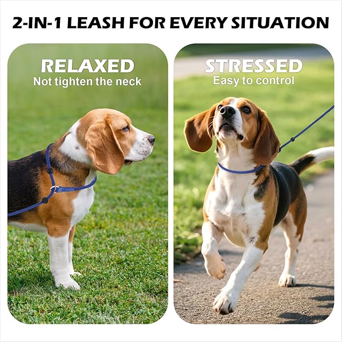 6FT Slip Lead Dog Leash with Double Padded Handle, Anti-Tangle Slip Leads for Dogs, Reflective Nylon No-Pull Training Leash for Small Medium Dogs, Navy Blue