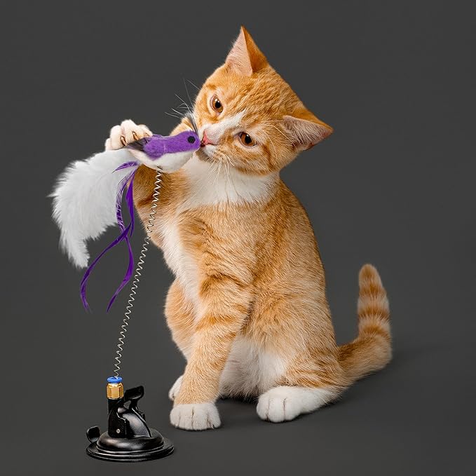 Playology Cat Toys | Interactive Toy Suction Cup Spring Bird Including 2 Replacement Birds Cat Toys for Indoor Cats | Toy Made from Non Toxic Materials