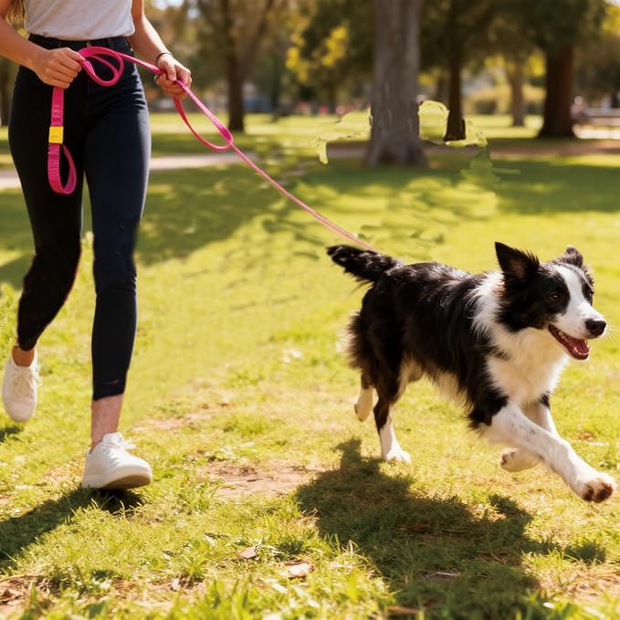 Dog Slip Lead Dog Leash,Fine Webbing Training Leash, No Pulling Slip Leash Collar,Heavy Duty&Durable,Padded Handle,Easy-Control for Small,Medium or Large Dogs,5FT (Pink, 5FT)