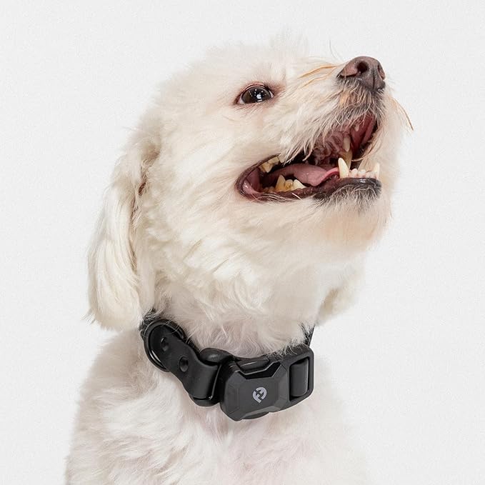 2025 New Edition, Fei & Eve PVC MagEase Dog Collar - Patented Magnetic Buckles | Fur-Safe | 450LB Escape-Proof | Adjustable Fit | Small (Black)