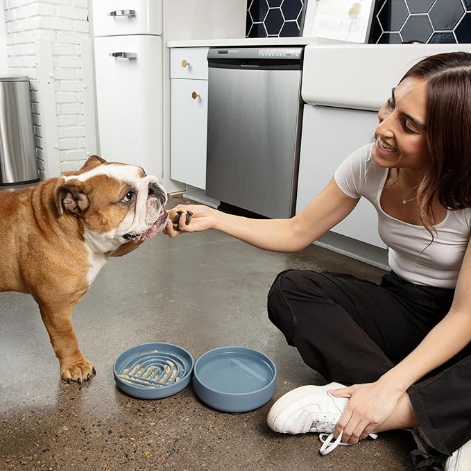 Should We Go? Slow Feeder for Dogs & Puppies, The Slowdown Bowl Silicone Slow Eating, Modern Lick Mat Design, Reduces Gulping, Fits 2 Cups, 7.5” Across x 1.5” Tall, Mealtime Challenge, Medium-Honey