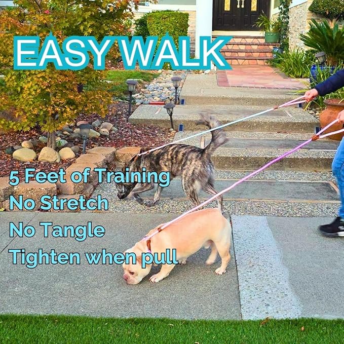 Dog Leash - Slip Leads for Dogs, 5 FT Pet Training Leash, Strong Heavy Duty Braided No Pull Loop Rope Training Lead Leashes for Small, Medium, Large Breeds, Pink & Blue