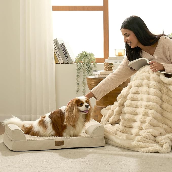 Orthopedic Dog Bed for Small Medium Size Dogs, Bolster Pet Couch with Waterproof Lining, Egg Crate Foam Sofa for Pets Up to 30 lbs, U-Shaped, 30x20x6.5 inch, Beige