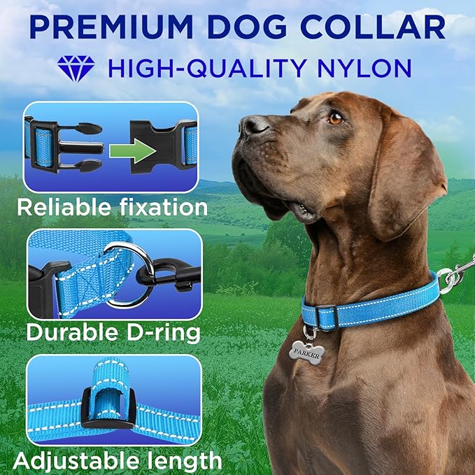 TECEUM Reflective Dog Collar – Sky Blue – M – Basic Nylon Pet Collar – Quick Release Buckle – Fits Small, Medium and Large Dogs, Puppies, Cats – ESA & Service Dog Options
