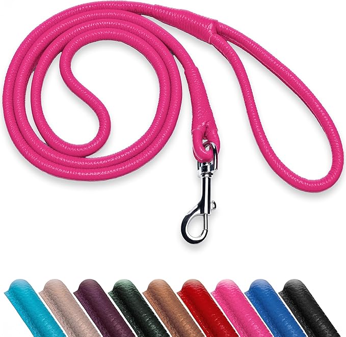 OOPSDOGGY Rolled Leather Dog Lead 6ft Heavy Duty Training Leash for Small Medium Large Dogs & Puppy Black Brown Red (Pink, Small)