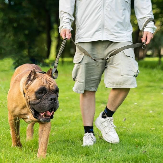 EXCELLENT ELITE SPANKER Tactical Dog Leash Heavy Duty 5-6FT Adjustable No Pull Military Bungee Dog Leash Elastic Leads Rope with 2 Padded Control Handle for Medium Large X-Large Dogs(MCP)
