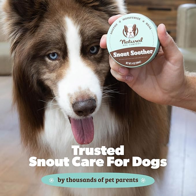 Natural Dog Company Snout Soother Bundle, Includes 2oz Tin + 0.15oz Stick, Dog Nose Balm for Chapped, Crusty and Dry Dog Noses, Organic, All Natural Ingredients, Packaging May Vary