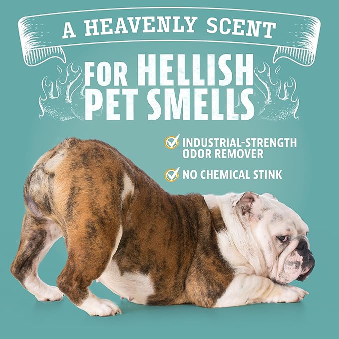 ANGRY ORANGE 2-Pack Pet Odor Eliminator for Strong Odor – 24oz Citrus Deodorizers for Dog or Cat Smells with 1-Gallon Refill