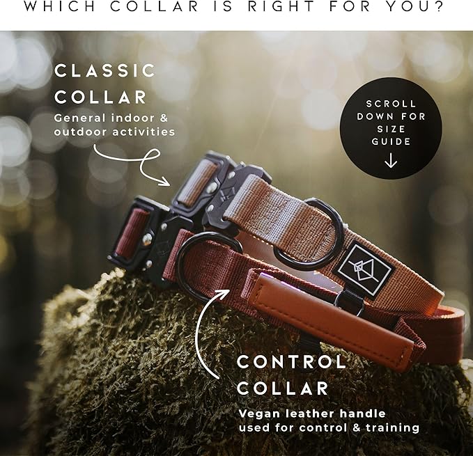 Made to ROAM Premium Dog Collar - Adjustable Heavy Duty Nylon Collar with Quick-Release Metal Buckle (Vermont Weekends, Classic Size 2)