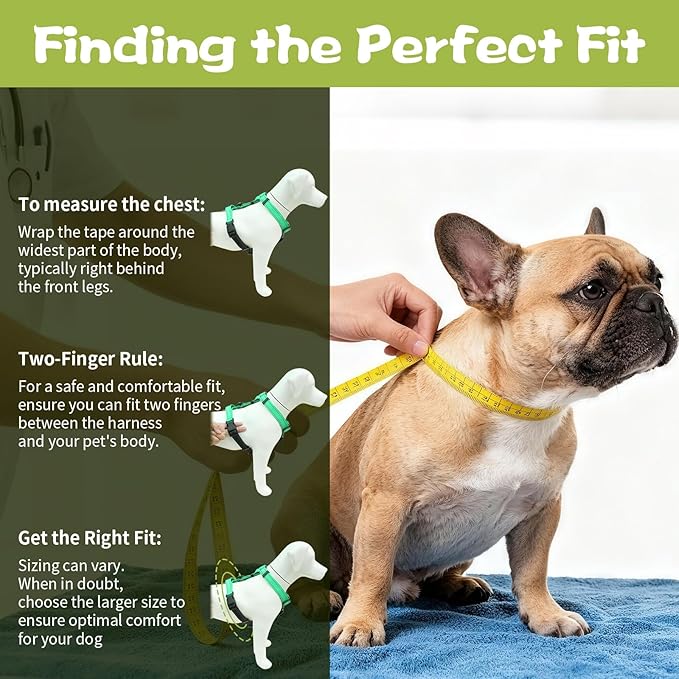 Dog Harness,Adjustable No Pull Dog Harness,Y-Shaped Design,Buckle-Neck Balance Harness with Reflective, Ideal for Dog Training Hiking, Easy Walk Harness,Durable High-Tensile Nylon Black-S