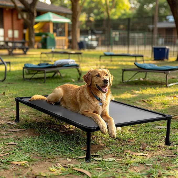 Veehoo Chew Proof Elevated Dog Bed, Indestructible Raised Dog Bed for Aggressive Chewers, Waterproof Dogs Training Platform for Indoor or Outdoor Use, 41 x27 inches, Grey