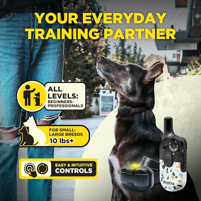 Dogtra 200iQ Remote Training E Collar – 100 Levels, Tone, Vibration, 1/2 Mile Range – Compact, Waterproof, One-Handed Control for Dogs 10 lbs+ – Lightweight Design for Daily Training – Organic Stone