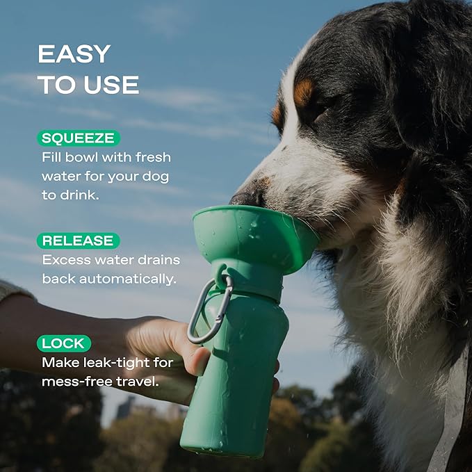 Springer by Springland Flip Portable Dog Water Bottle with Foldable Food Grade Silicone Bowl - 20 Ounce Travel Dog Water Bottle Ideal for Camping - Easy Squeeze Hydration & Release to Drain