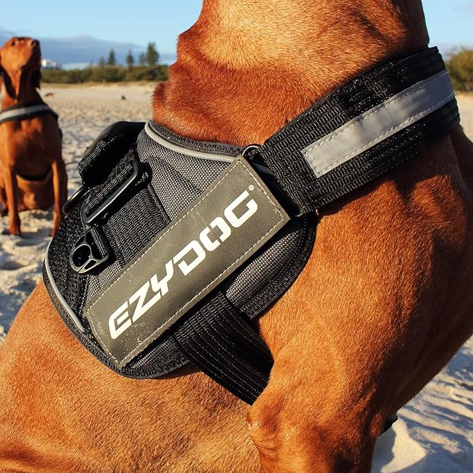 EzyDog Convert Dog Harness – Trail-Ready Rugged Harness for Walking, Hiking & Outdoors with Reflective Piping, Badge Attachment Points, Traffic Handle, & Comfort Lining (Medium, Corduroy)