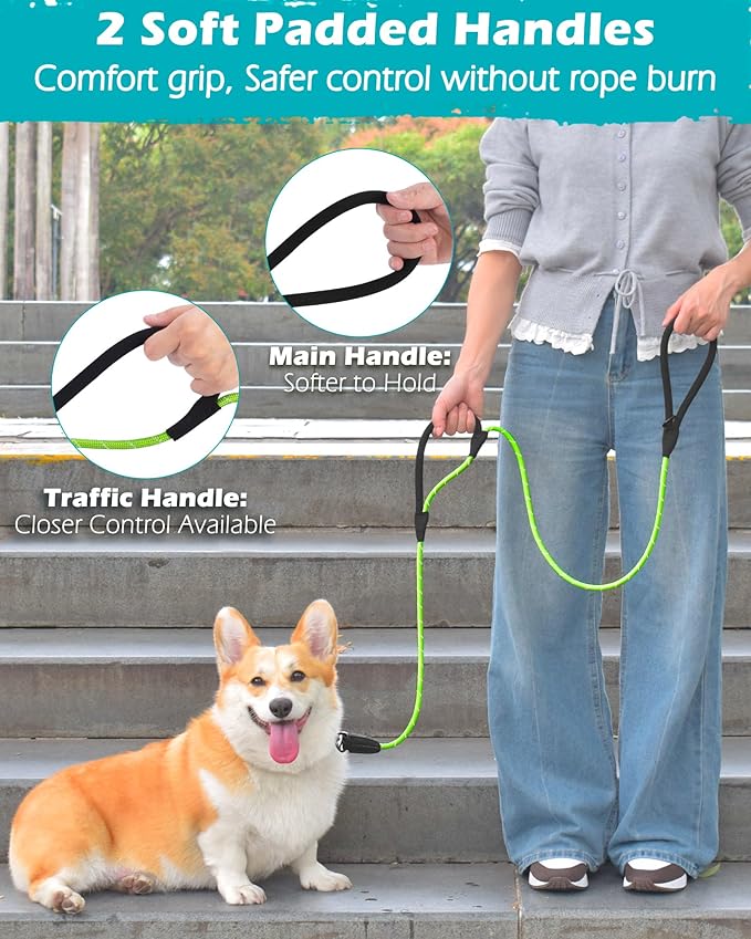 PetBonus Double Handle Rope Dog Leash, 6FT Heavy Duty Training Lead with Lockable Hook and 2 Comfortable Padded Handles, Reflective Walking Nylon Leash for Small Medium Dogs (11-55 lbs, Green)