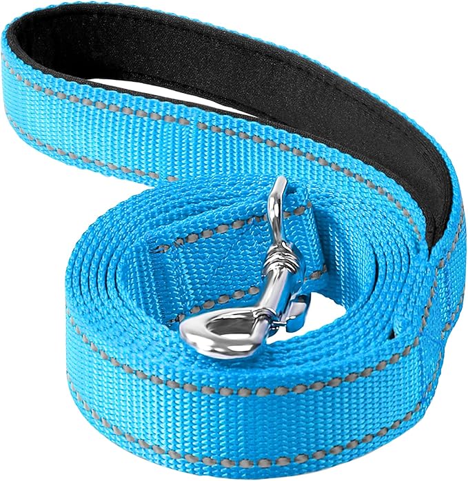 Erbine 6FT Reflective Nylon Dog Leash with Soft Padded Handle for Walking, Running and Training, Supports Small Medium and Large Dogs (Auqa Blue, 1 Inch Wide)