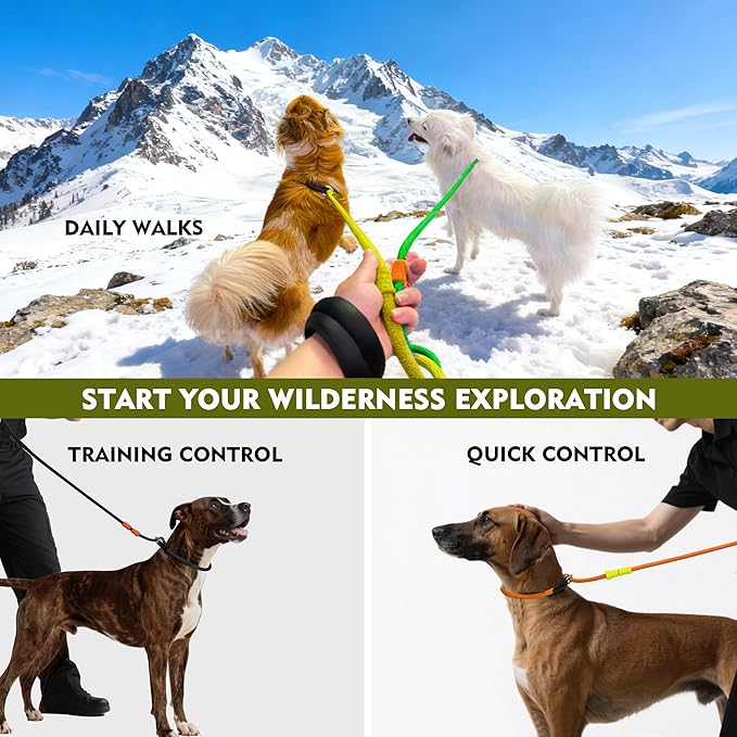 BeauGo|Slip Leads for Dogs|Slip Lead Dog Leash|Dog Training Leash,2-in-1 Dog Training Lead & Collar,No Pull Training Lead,Comfortable Strong Rope Slip Lead for Small Dogs and Puppies.Slip Leash6FT