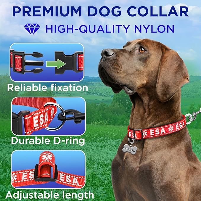 TECEUM Reflective Pet Collar – Red - ESA – L – Basic Nylon Dog Collar – Quick Release Buckle – Fits Small, Medium and Large Dogs, Puppies, Cats – ESA & Service Dog Options