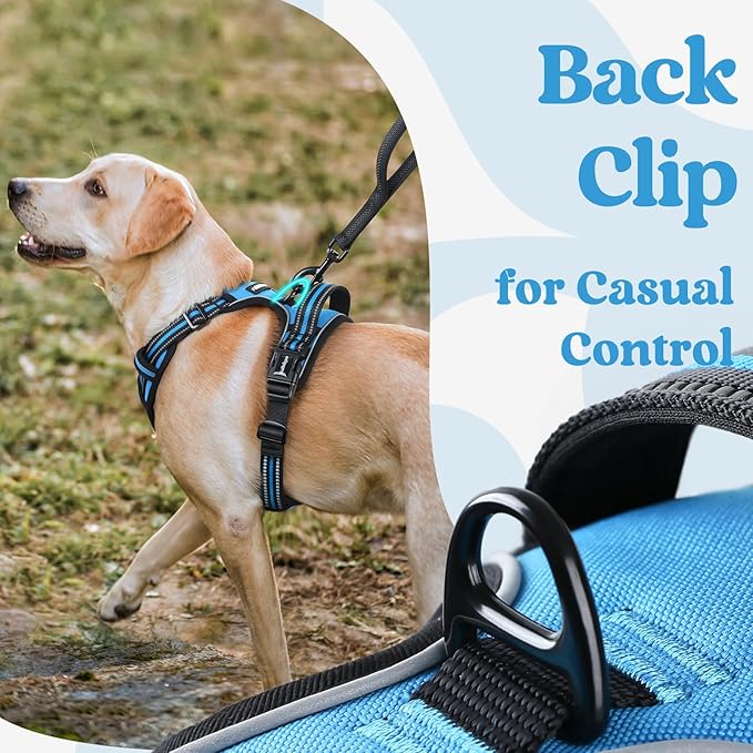 rabbitgoo Dog Harness for Large, No Pull Pet Harness with 3 Buckles, Adjustable Soft Padded Vest with Control Handle, Walking Reflective Pet Vest for Extra Large Dogs, Sky Blue, XL